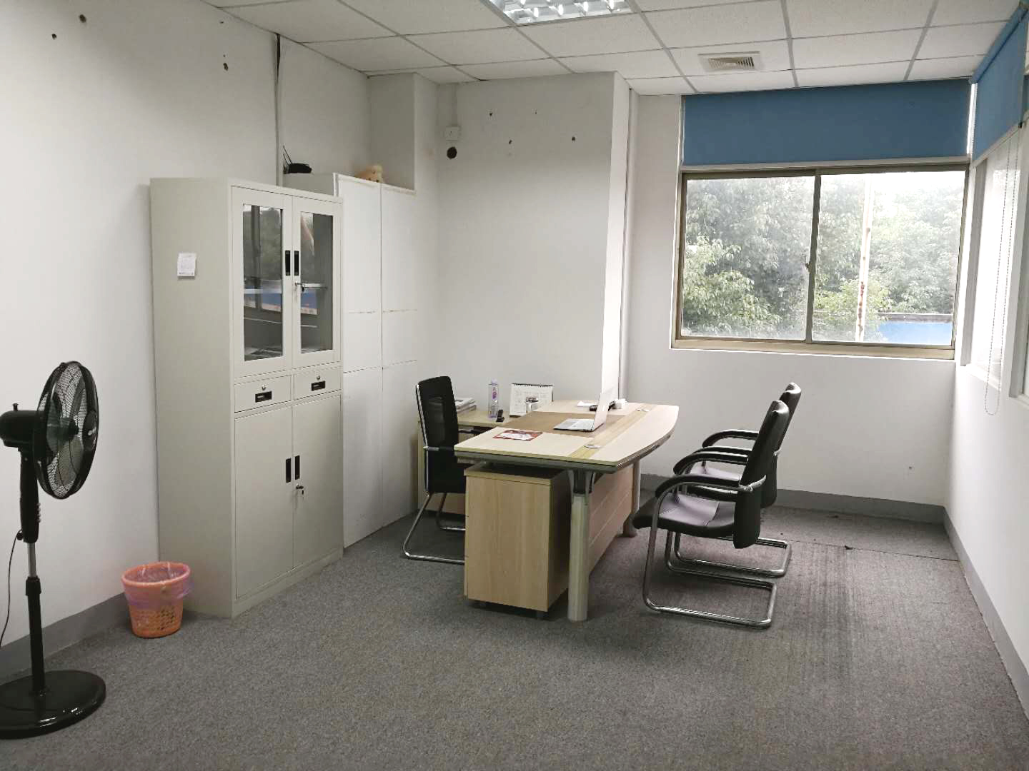 夜色视频在线观看仪器重庆办事处正式成立